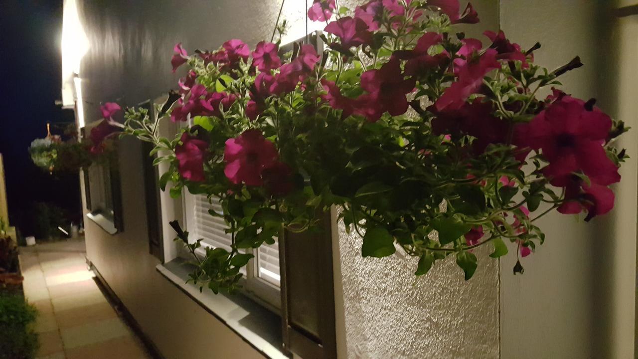הוילה Marthys House With Hot Tub לו מראה חיצוני תמונה